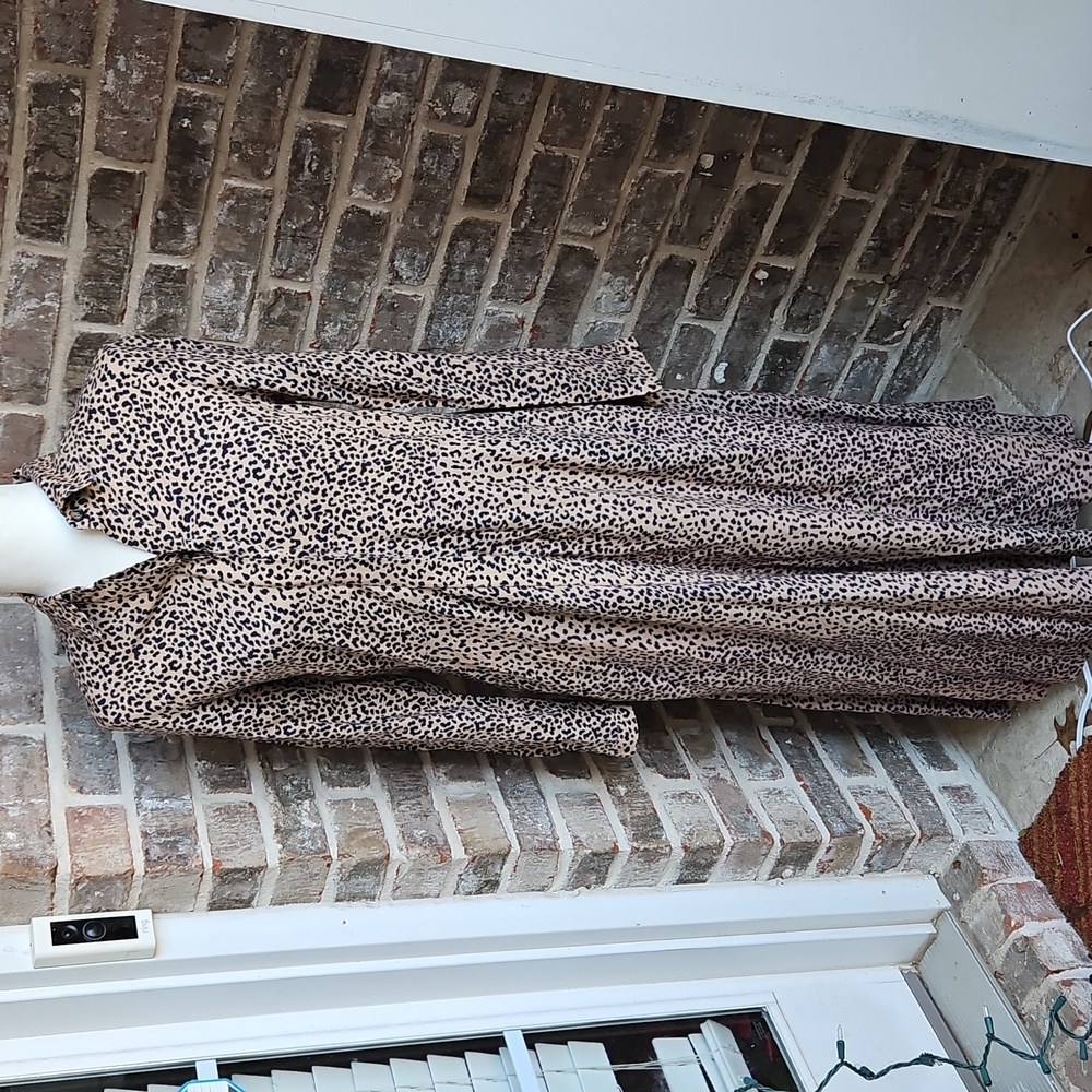 Tuckernuck Aster Leopard Print Maxi Long Sleeve Shift Dress - Picture 2 of 5